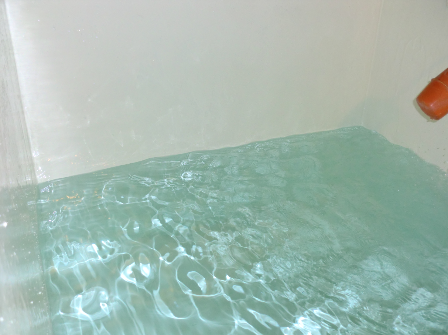 CLEAN & CHLORINATION/DISINFECTION WATER TANK SERVICES – FROM TANK RELINE LTD